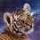 Tigerfeet